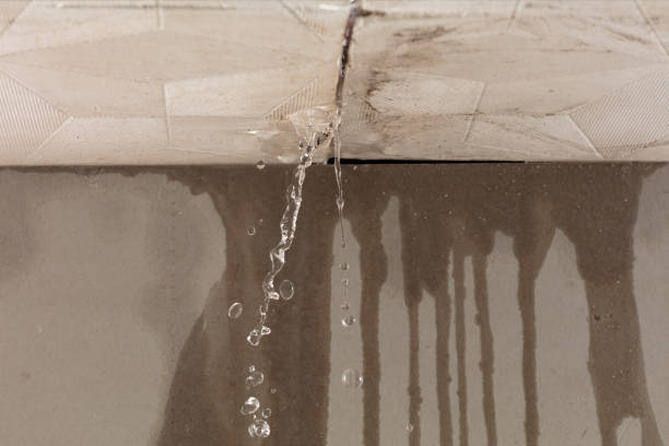 Professional Water Extraction technician working in Troy, TX